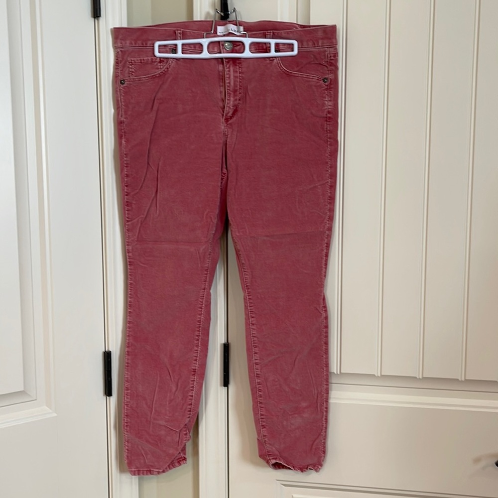 Ann Taylor Loft Velvet Modern Skinny Jeans Rose 12P